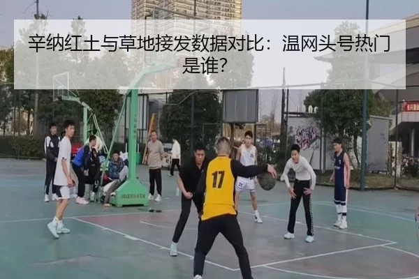 辛纳红土与草地接发数据对比：温网头号热门是谁？